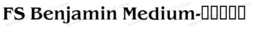 FS Benjamin Medium字体转换